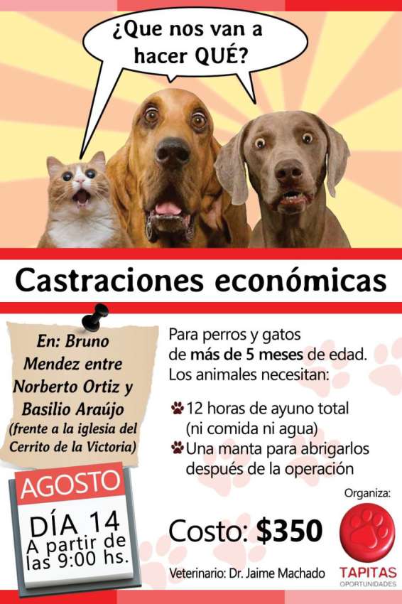 11816097_830961067010799_6453599906600921815_o