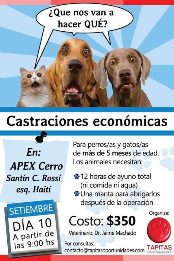 11953021_849244071849165_6265559445755195254_n