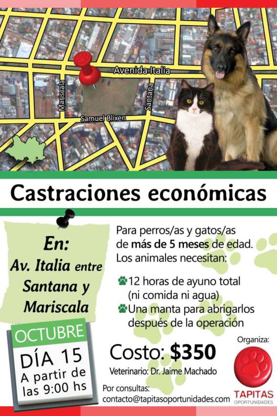 12062652_10208101589206748_891559251_o