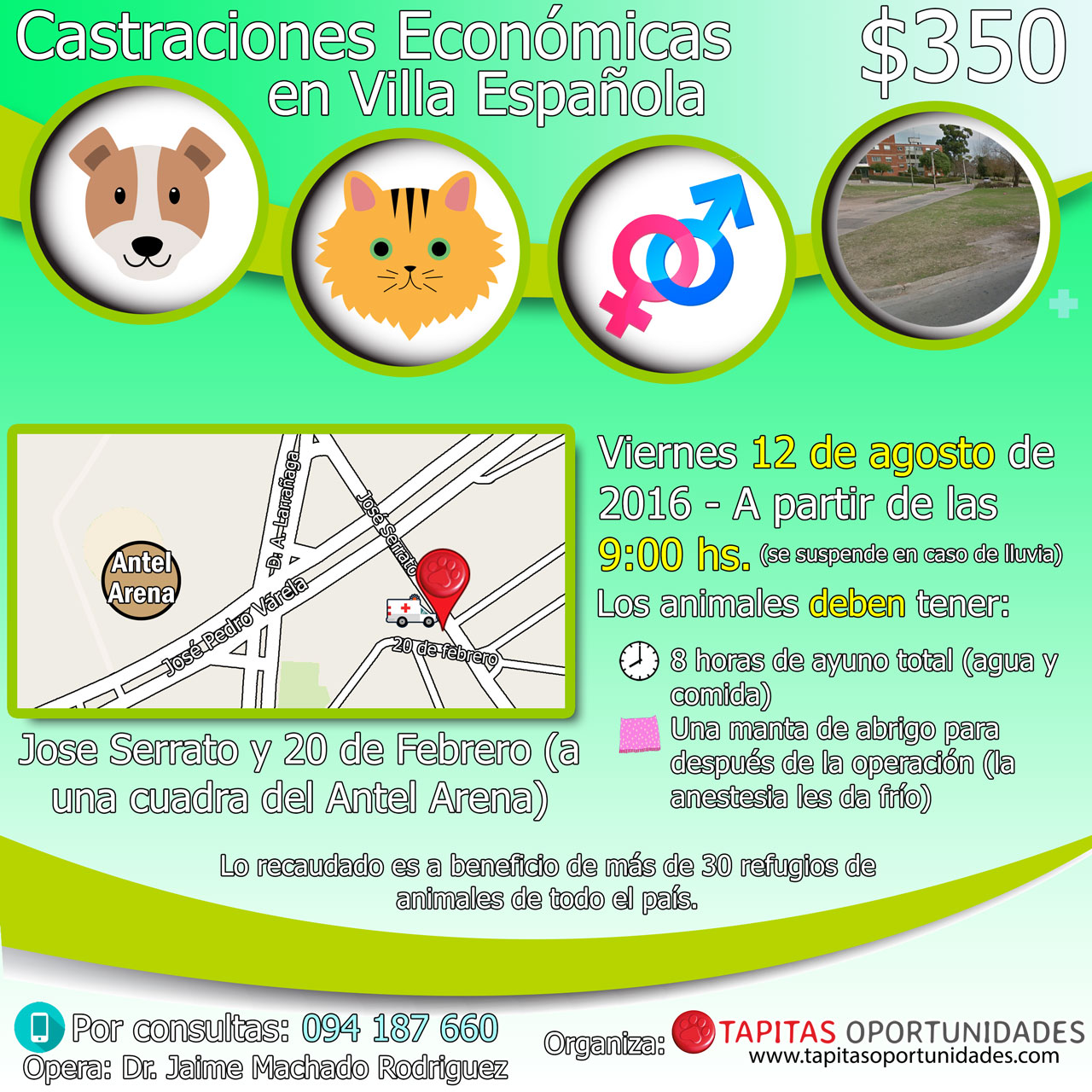Castraciones-Villa-Española-agosto-2016