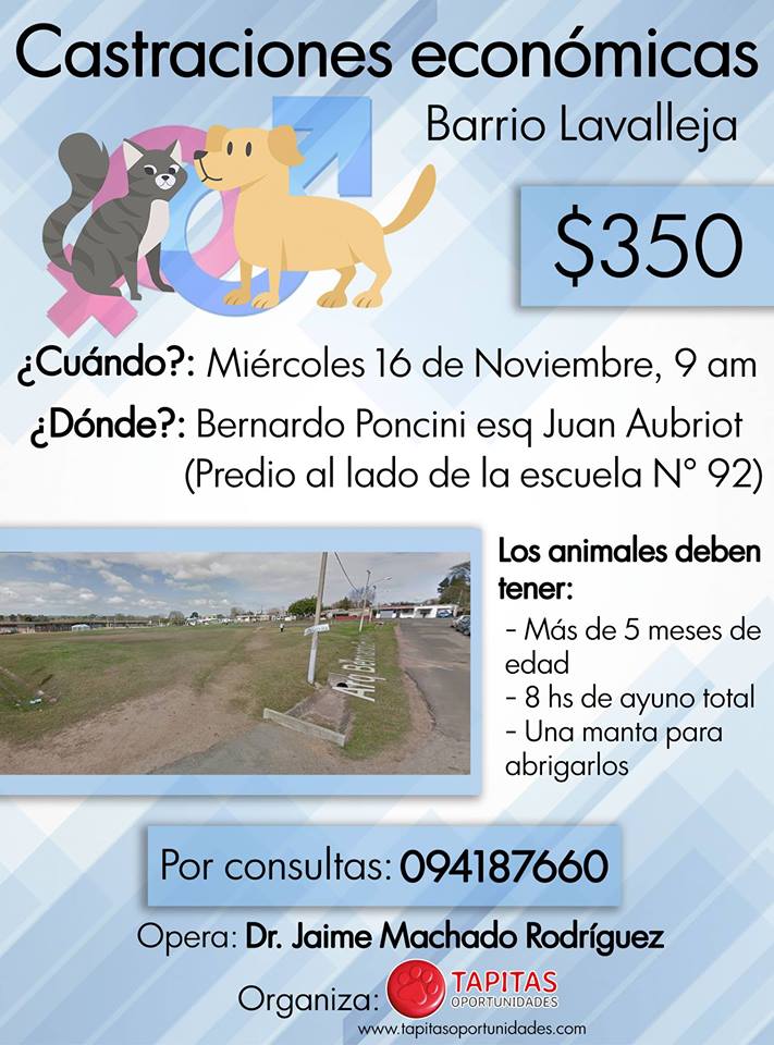 castraciones-barrio-lavalleja