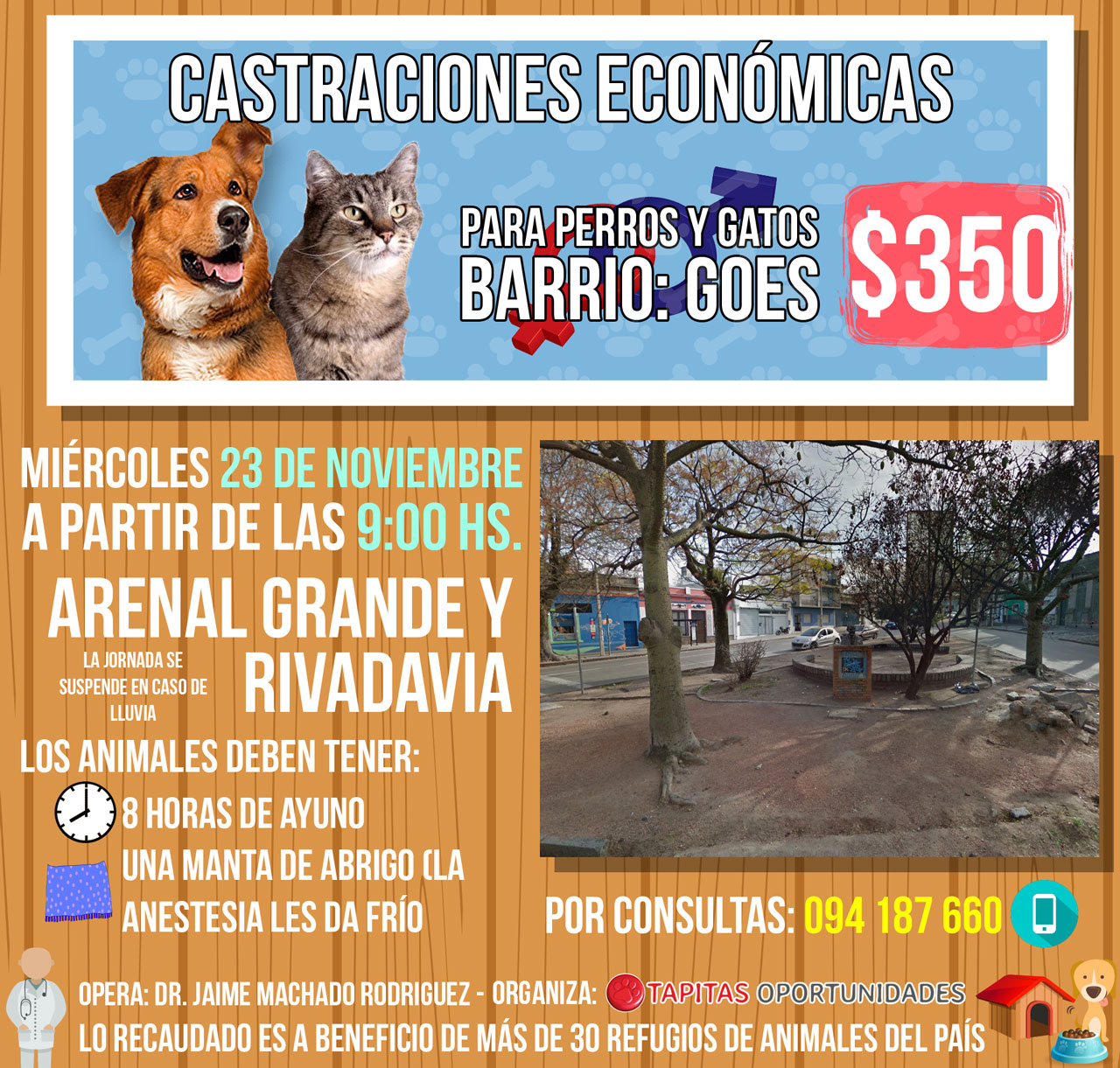 castraciones-goes-1280px